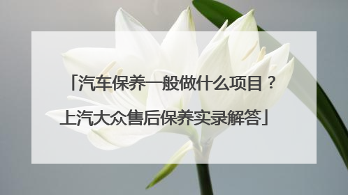汽车保养一般做什么项目？上汽大众售后保养实录解答