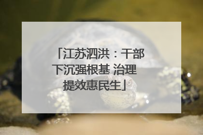 江苏泗洪：干部下沉强根基 治理提效惠民生