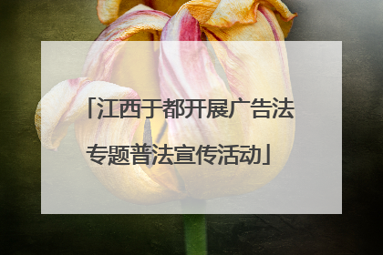 江西于都开展广告法专题普法宣传活动