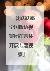 沈跃跃率全国政协视察团在吉林开展专题视察