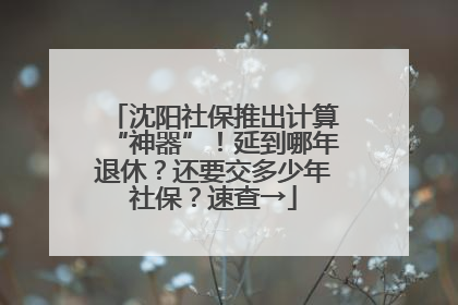 沈阳社保推出计算“神器”！延到哪年退休？还要交多少年社保？速查→