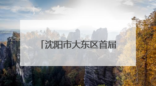 沈阳市大东区首届晒书文化节盛大开幕：千年文脉遇书