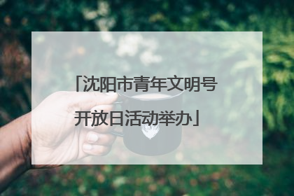 沈阳市青年文明号开放日活动举办