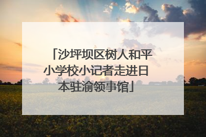 沙坪坝区树人和平小学校小记者走进日本驻渝领事馆