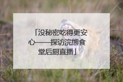 没秘密吃得更安心——探访浣熊食堂后厨直播