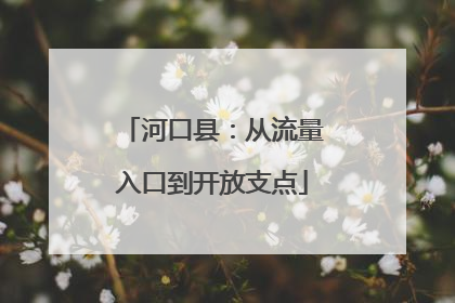 河口县：从流量入口到开放支点