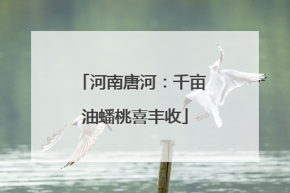 河南唐河：千亩油蟠桃喜丰收