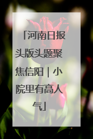 河南日报头版头题聚焦信阳｜小院里有高人气
