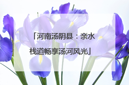 河南汤阴县：亲水栈道畅享汤河风光