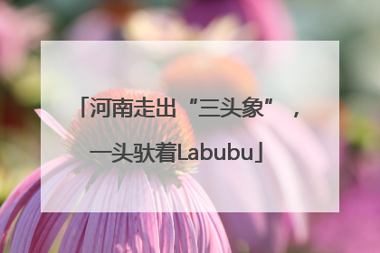 河南走出“三头象”，一头驮着Labubu