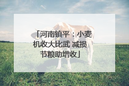 河南镇平：小麦机收大比武 减损节粮助增收