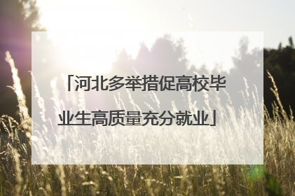 河北多举措促高校毕业生高质量充分就业