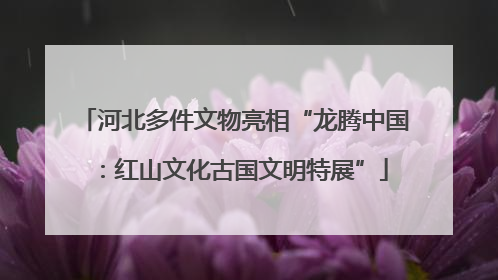 河北多件文物亮相“龙腾中国：红山文化古国文明特展”