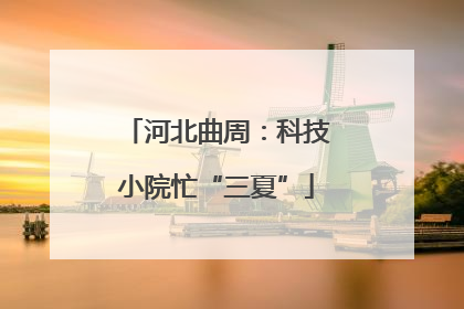 河北曲周：科技小院忙“三夏”