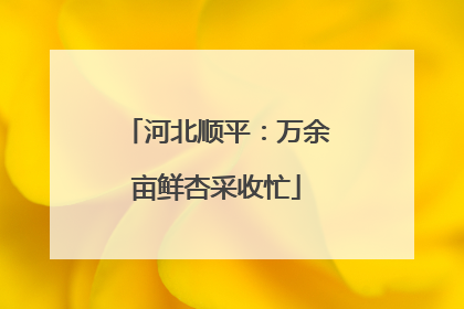河北顺平：万余亩鲜杏采收忙