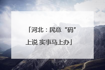 河北：民意“码”上说 实事马上办