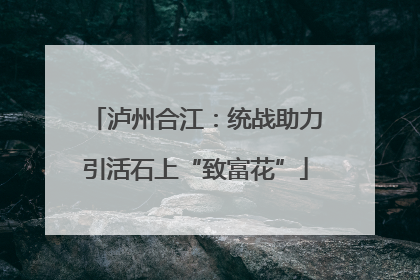 泸州合江：统战助力引活石上“致富花”