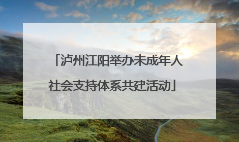 泸州江阳举办未成年人社会支持体系共建活动
