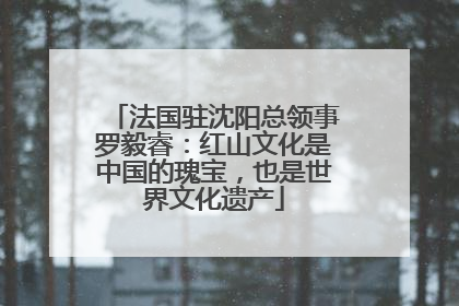 法国驻沈阳总领事罗毅睿：红山文化是中国的瑰宝，也是世界文化遗产