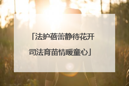 法护蓓蕾静待花开 司法育苗情暖童心