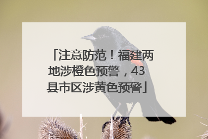 注意防范！福建两地涉橙色预警，43县市区涉黄色预警