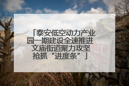 泰安低空动力产业园一期建设全速推进 文庙街道聚力攻坚抢抓“进度条”