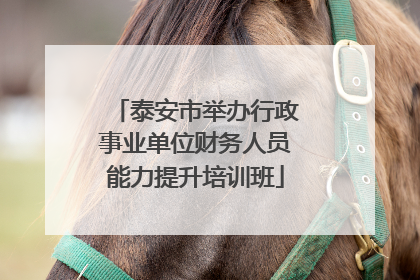 泰安市举办行政事业单位财务人员能力提升培训班