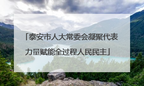 泰安市人大常委会凝聚代表力量赋能全过程人民民主