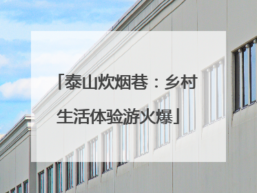 泰山炊烟巷：乡村生活体验游火爆