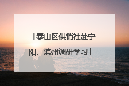 泰山区供销社赴宁阳、滨州调研学习