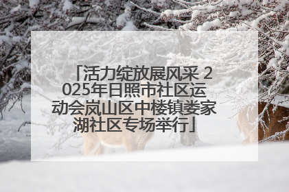 活力绽放展风采 2025年日照市社区运动会岚山区中楼镇娄家湖社区专场举行