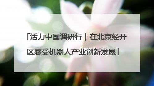活力中国调研行｜在北京经开区感受机器人产业创新发展