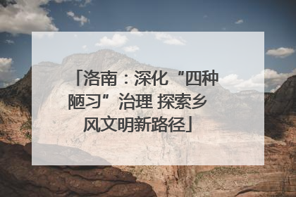 洛南：深化“四种陋习”治理 探索乡风文明新路径
