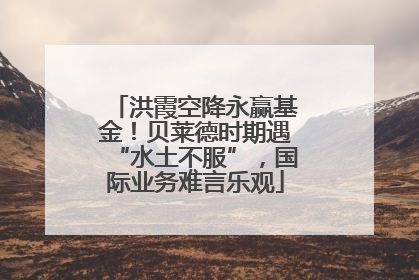 洪霞空降永赢基金！贝莱德时期遇“水土不服”，国际业务难言乐观
