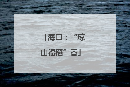 海口：“琼山福稻”香