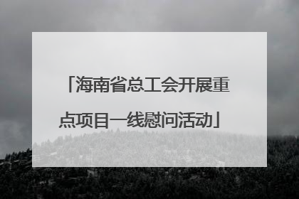 海南省总工会开展重点项目一线慰问活动
