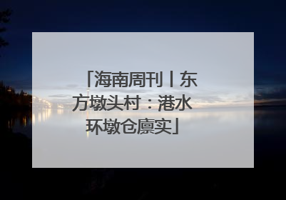 海南周刊丨东方墩头村：港水环墩仓廪实