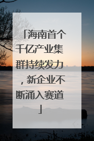 海南首个千亿产业集群持续发力，新企业不断涌入赛道