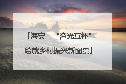 海安：“渔光互补” 绘就乡村振兴新图景