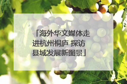海外华文媒体走进杭州桐庐 探访县域发展新图景