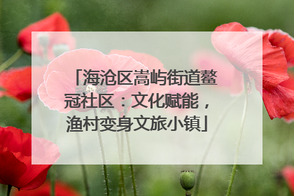 海沧区嵩屿街道鳌冠社区：文化赋能，渔村变身文旅小镇