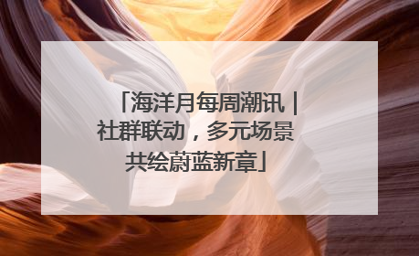 海洋月每周潮讯｜社群联动，多元场景共绘蔚蓝新章