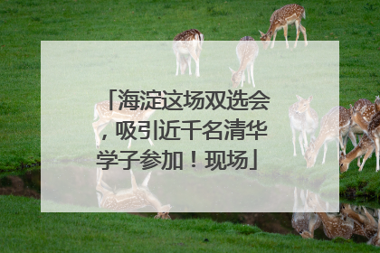 海淀这场双选会，吸引近千名清华学子参加！现场
