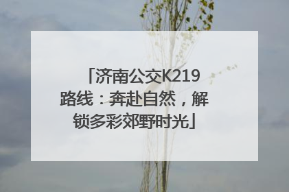 济南公交K219路线：奔赴自然，解锁多彩郊野时光