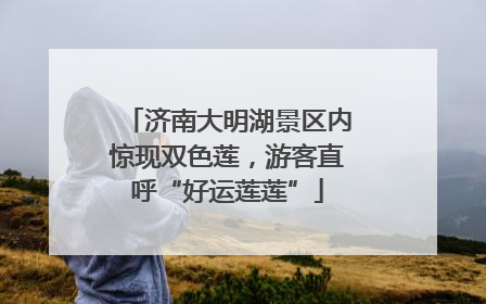 济南大明湖景区内惊现双色莲，游客直呼“好运莲莲”