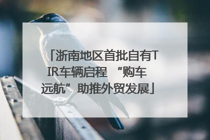 浙南地区首批自有TIR车辆启程 “购车远航”助推外贸发展