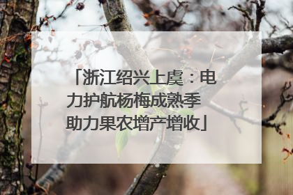 浙江绍兴上虞：电力护航杨梅成熟季 助力果农增产增收