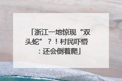 浙江一地惊现“双头蛇”？！村民吓懵：还会倒着爬
