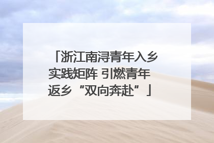 浙江南浔青年入乡实践矩阵 引燃青年返乡“双向奔赴”