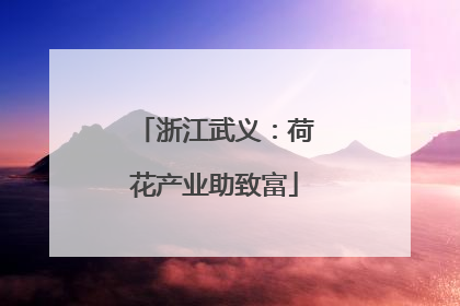 浙江武义：荷花产业助致富